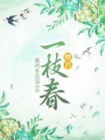 赠君一枝春的隐喻意义