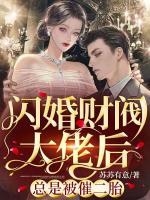 顾泽林星晚全文阅读