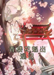 青楼花魁衣服
