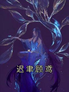 顾鸢迟聿免费阅读