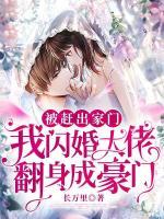 我和大佬闪婚了