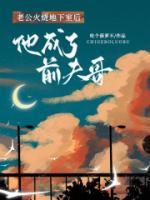丈夫纵火