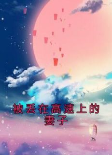 被丢在高速上的妻子后续