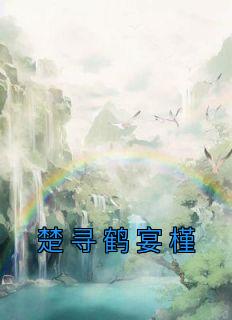 女主叫楚宴姿的穿书