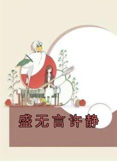 许静盛无言大结局是什么