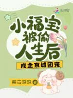 妞妞张芸娘顾明达