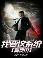你要的系统我都要