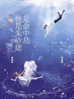 他是朱砂痣男主是替身