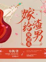 沈鸾秦戈完结多少章