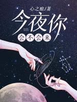 今夜你会不会来我的爱还在不在是什么歌
