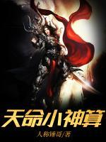 天命神算第1到100集