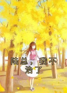 沈沅陆之昀