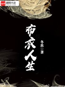 首席大秘免费阅读全文