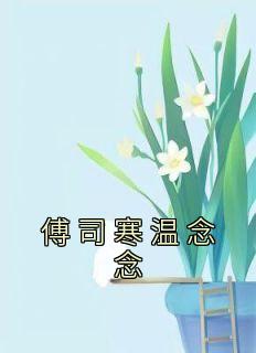 傅司深顾念念