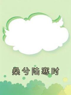 桑暖陆亦舟