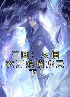 三国从佃农开始横推天下!(玉碎红尘)