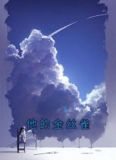 他的金丝雀顾洵程蓁全文免费阅读无弹窗