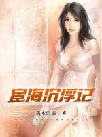 宦海沉浮记丁一