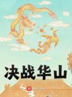 决战华山126峰最佳搭配图