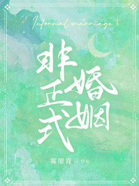 非正式婚姻by雾里青全文