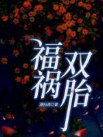 双胞胎福气吗