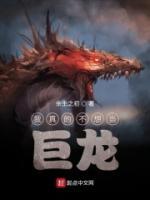 黄康新简历