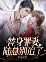替身情人陆少狂追妻