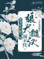 祝鸢沈肆之免费