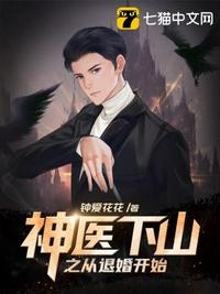 神医下山之从退婚开始赵平安