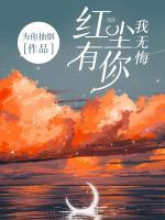 红尘有你我无悔顶点免费阅读