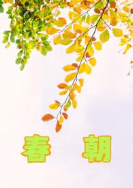 春朝秋夜思君甚