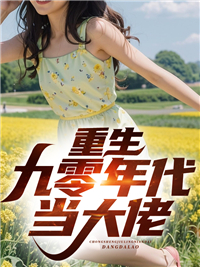 重生九o年代