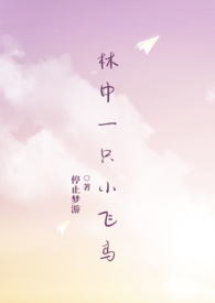 林中一只小飞鸟停止梦游免费阅读