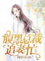 腹黑总裁追妻忙 笔趣阁