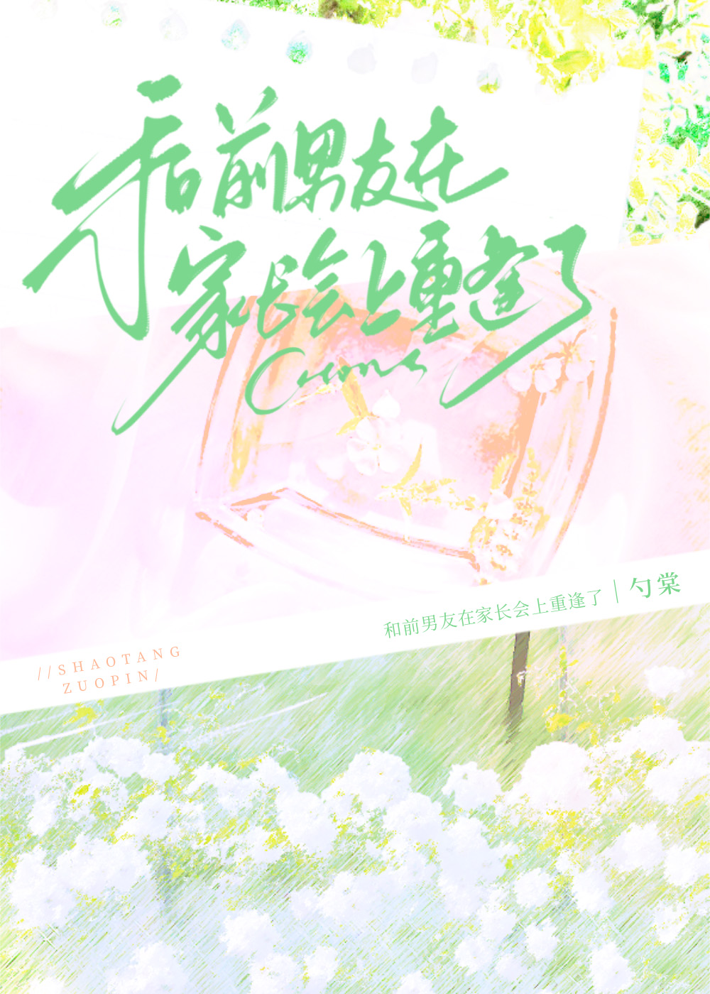 在家长会上遇前任by勺棠免费阅读