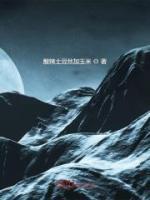 主人翁苏晨的