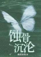 唐思秦风小宝
