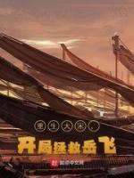 重生大宋开局拯救岳飞笔趣阁