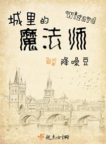 城里的魔法师TXT百度全本