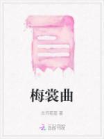梅花引表达的情感
