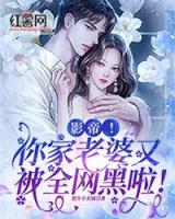 你老婆又上热搜啦