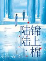 男主陆上锦