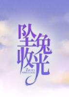坠兔收光隐喻