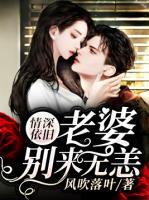 情深依旧老婆别来无恙全文免费阅读