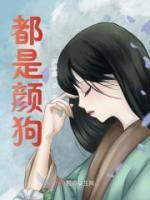 书名颜狗