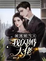 我闪婚大佬 澜笙