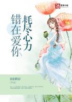 错在错在太爱你歌词