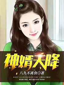神婿天降全本TXT