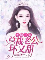 苏辞月秦墨寒全集