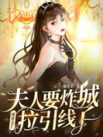 江念司薄夜最新章节更新